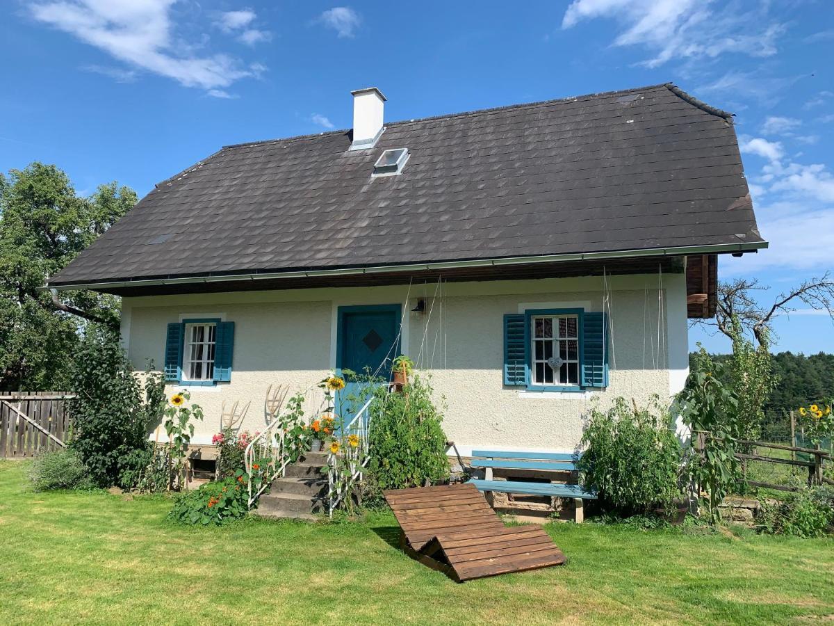 Varm: Vegan Bio-Farm Stay for Dog Lovers and Nature Enthusiasts Sulb Exterior photo